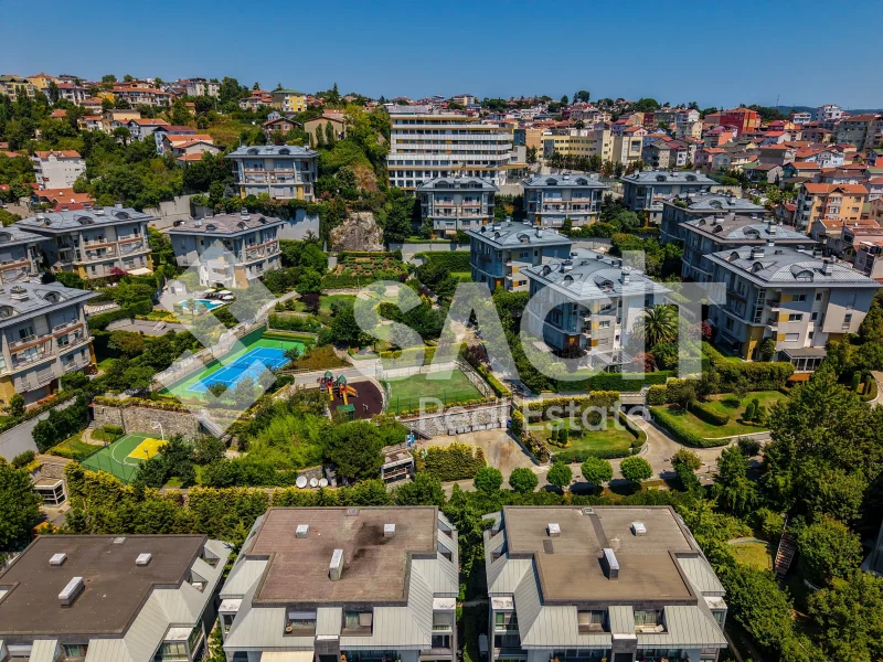 Seba Akdağ Dream