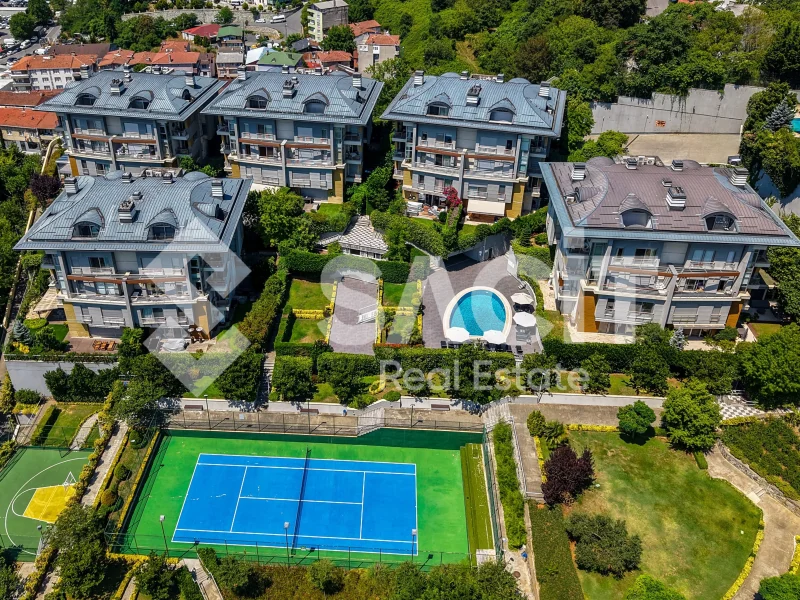 Seba Akdağ Dream